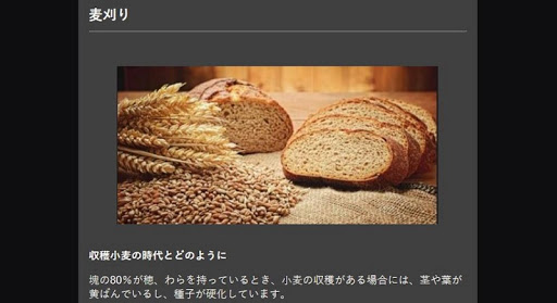 super wheat cultivation