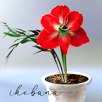 Cover Image of Download Floria Virtual Garden  APK