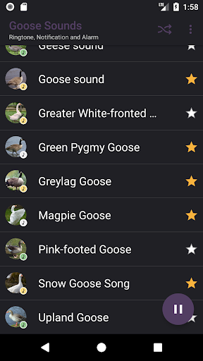 Goose Sounds Screen 3