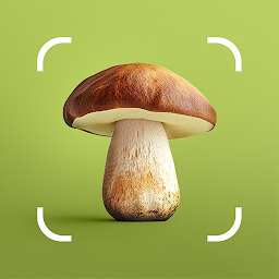 រូប​តំណាង Mushroom ID - Fungi Identifier