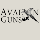 Avalon Guns icon
