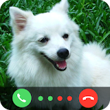 Call From Little Dog icon
