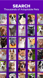 Petfinder - Adopt a Pet Capture d'écran
