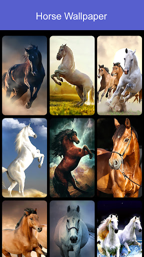 Horse Wallpaper 2023
