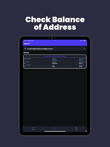 Screenshot of Bitcoin Block Explorer