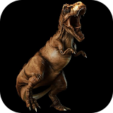 Raptor Dinosaur Live Wallpaper icon