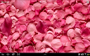 screenshot of Petals 3D live wallpaper