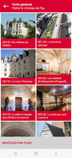 Château de Pau Screen 3