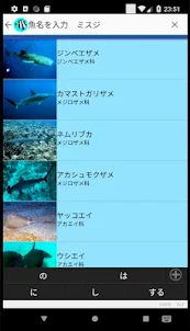 沖縄の魚図鑑
