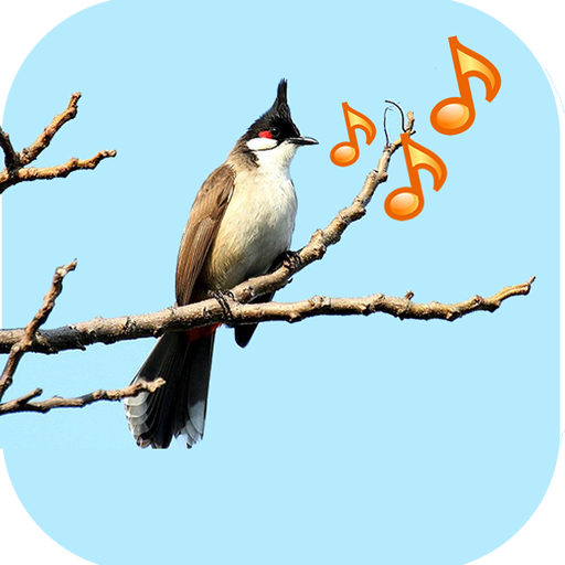 Singing Birds  Icon