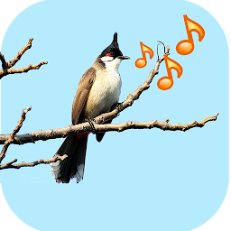 Icon image Singing Birds