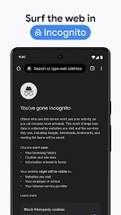 Google Chrome 6