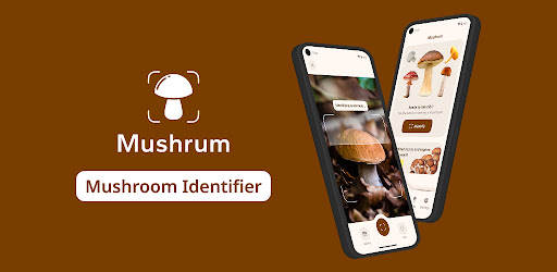 Mushroom Identifier - Mushrum