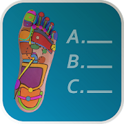 Reflexology Quiz 3D