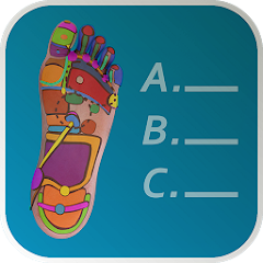 Reflexology Quiz 3D - foot - h