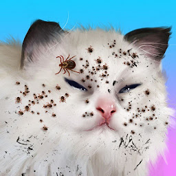 Icon image Cat Makeover