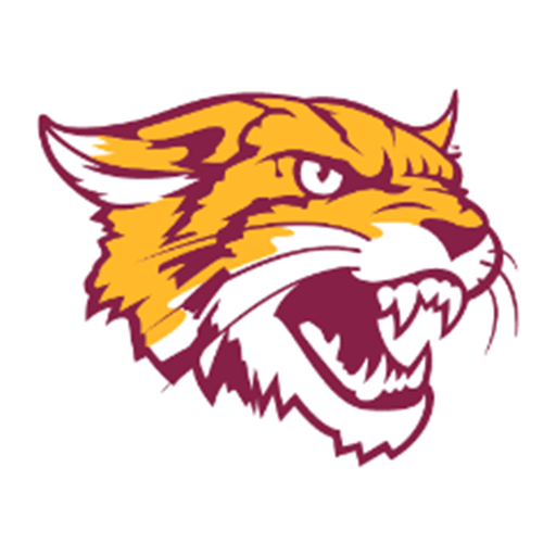 BCUHomecomingConnect logo