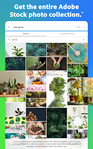 Adobe Express: Graphic Design 8.2.0 12