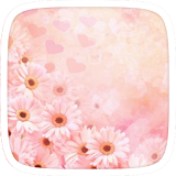 Faded Flowers Theme icon