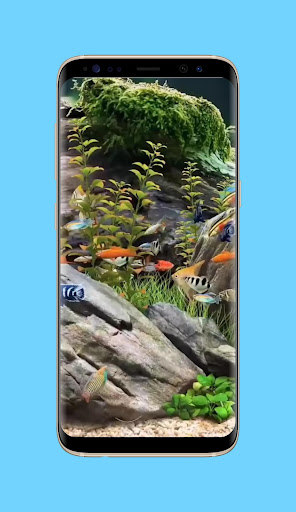 Aquarium Live Wallpaper
