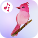 鳥の歌 着信音 : 鳥は鳴き着メロ - Androidアプリ