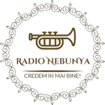 Cover Image of Download Radio NebunYa Nebunia Manele  APK