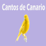 Cantos de Canario icon