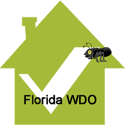 Icon image Florida WDO Report
