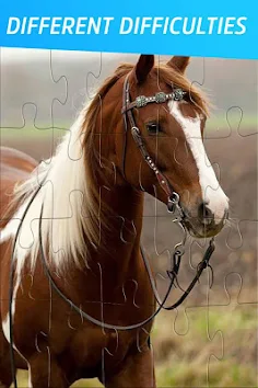 Pony and Horse Jigsaw Puzzles - Screenshot 2