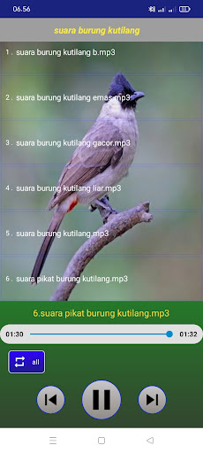 Suara burung kutilang Screen 3