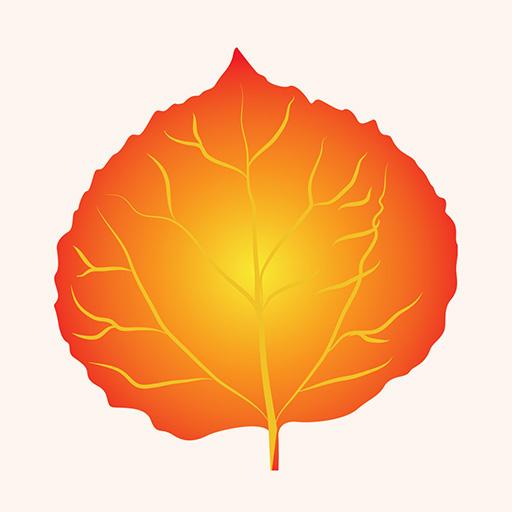 Aspen iSAVE logo
