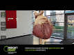 screenshot of INSIGHT HEART
