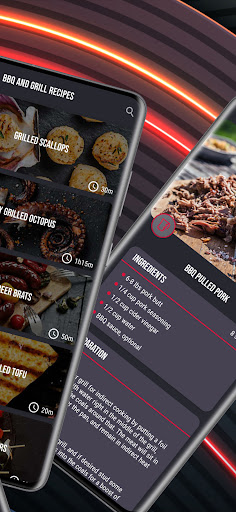 BBQ Grill Recipes Screen 2