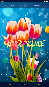 Spring Tulip Live Wallpaper