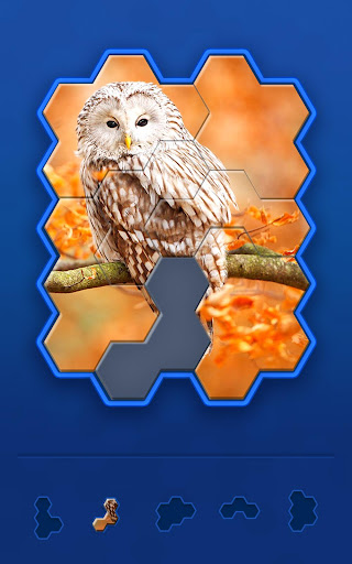 Hexa Jigsaw Challenge screenshots 7