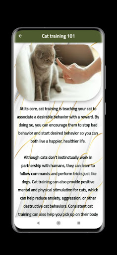 Cat Training Guide