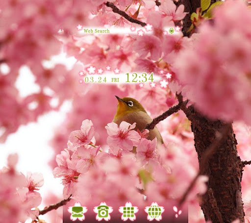 Android application Bird & Cherry Blossoms Theme screenshort