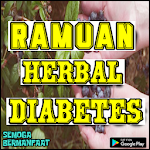 Cover Image of Baixar Ramuan Herbal Diabetes  APK