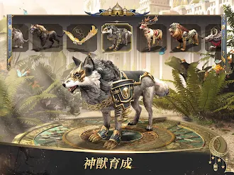 Game screenshot Days of Empire-英雄は永久不滅だ apk download