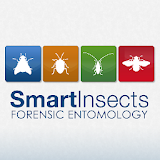 SmartInsects icon