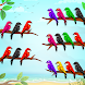 鳥の並べ替えパズル - 鳥のゲーム - Androidアプリ
