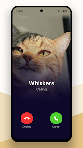 Cat Fake Call