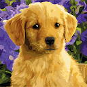 Oil Painting Paint by Number APK