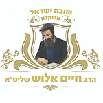 Cover Image of Download הרב חיים אלוש  APK