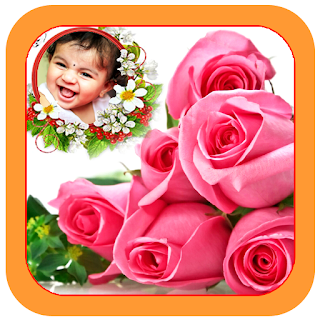 Colorful Flowers Photo gallery apk