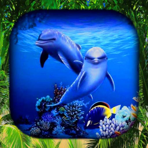 Dolphin Wallpaper Live HD/3D  Icon