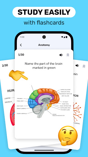 Android application Flash cards: Revise & Study screenshort