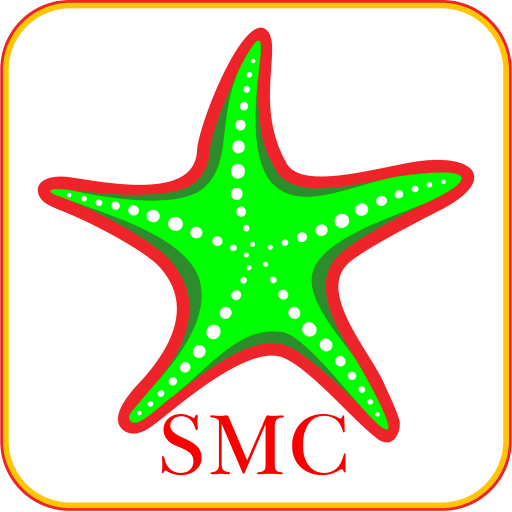 Starfish  Icon