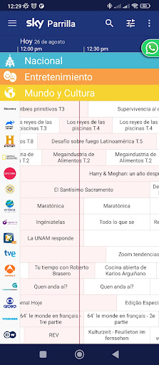 Guía SKY Screen 3