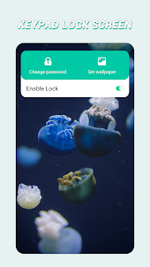 Keypad Lock Screen